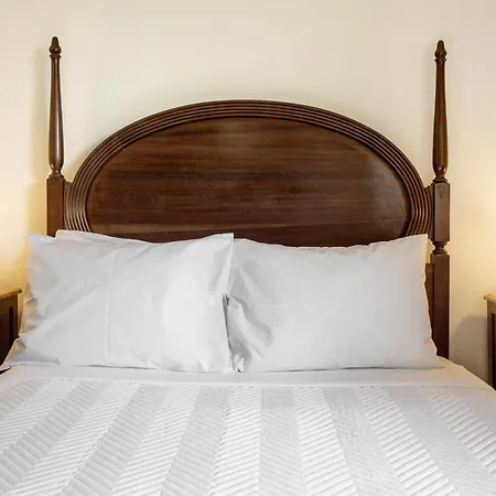 Casa Caminho Do Palheiro -